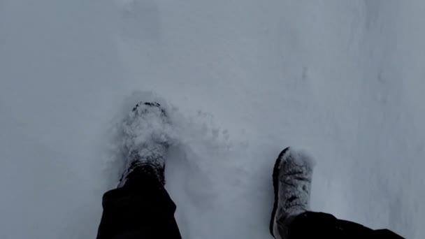 Dos personas están caminando por la carretera nevada. Piernas de dos personas. Conducir en la carretera en invierno — Vídeo de stock