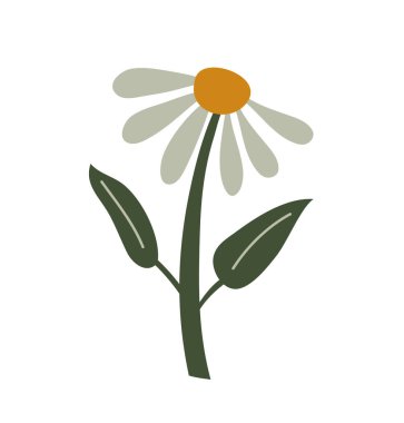 Vektör stilize bahar çiçeği. İskandinav illüstrasyon sanat unsuru. Sevgililer Günü kartı, poster, bayram afişi için dekoratif yaz çiçekleri.