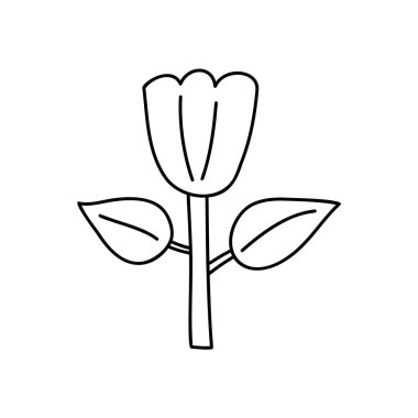 Vector stilize bahar çiçeği tek başına. İskandinav illüstrasyon sanat unsuru. Sevgililer Günü kartı, poster, bayram afişi için dekoratif yaz çiçekleri.