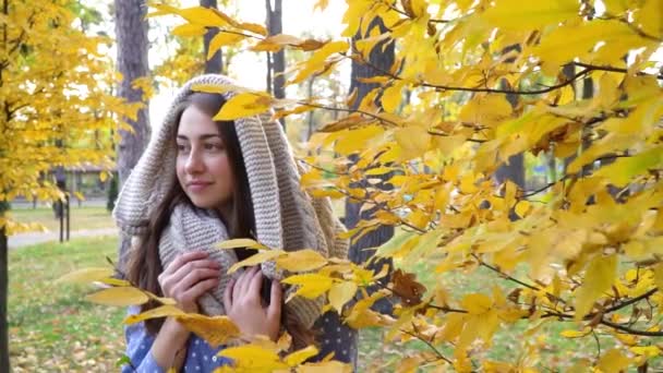 Attractive brunette woman walking in the park at fall on a sunny day and smiling. The face of a happy beautiful woman in autumn outdoor. Slow-motion HD footage — Stock Video