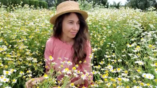 Jeune femme attrayante dans le domaine des fleurs blanches. dame en robe rayée marchant dans le champ de camomille, tiré de l'avant. Femme de mode dans un beau paysage fleuri — Video