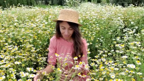 Joven mujer atractiva en el campo de las flores blancas. dama en vestido a rayas caminando en el campo de manzanilla, disparado desde el frente. Mujer de moda en hermoso paisaje de floración — Vídeos de Stock