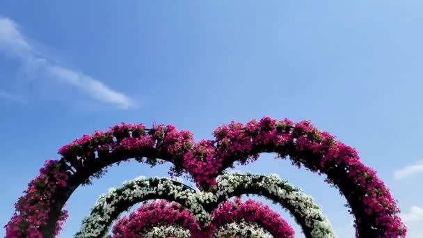 Schmücken eines festlichen Bogens. Hochzeitsdekoration mit Sträußen natürlicher frischer Blumen für ein Familienfest, Dekor in Gartenzeremonie auf Himmelshintergrund — Stockvideo