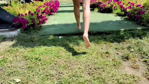 Mujer joven corre a través del arco de las flores. El concepto de viaje y aventura. chica feliz corriendo en la naturaleza en un día soleado. cámara lenta full hd video motion — Vídeo de stock