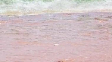 Kumsal Kum Denizi Sahili, dalga ve beyaz köpüklü yaz arkaplanı, deniz manzarası. Video Full HD hareketi