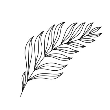 Tropik palmiye yaprakları. Egzotik botanik çiçeği. İzole illüstrasyon elementi. Arkaplan, doku, ambalaj deseni, çerçeve veya kenar çizimi için vektör el