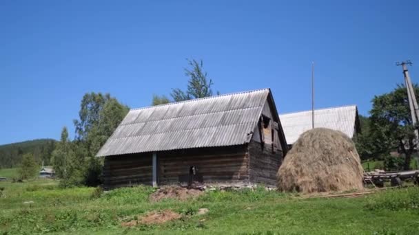 落葉性の針葉樹林や野生動物を背景にした素朴な瓦屋根の家ウクライナカルパティー山の村 — ストック動画