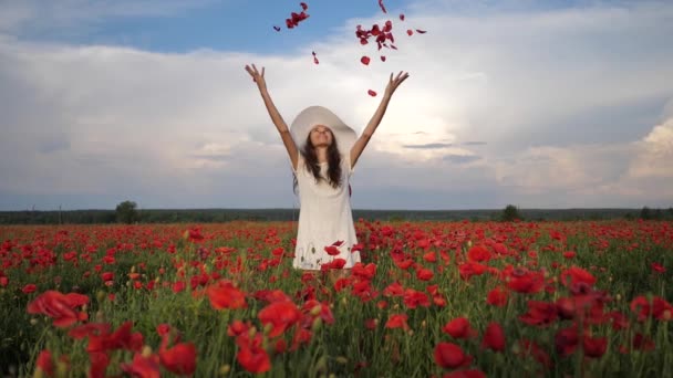 白いドレスと夏にはポピーの花のフィールドに帽子で幸せな女性は、青い深い空と雲。ビデオ映像フルHD — ストック動画