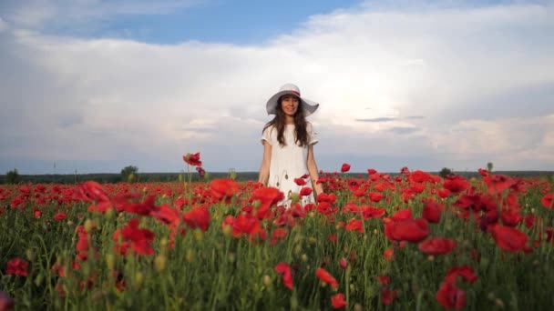 白いドレスと夏にはポピーの花のフィールドに帽子で幸せな女性は、青い深い空と雲。ビデオ映像フルHD — ストック動画