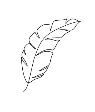 monoline vector drawing exotic tropical leaf monstera plant. Printable decorative houseplant concept for home wall decor poster ornament. Modern draw design graphic illustration line