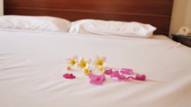 red and white petals on bed for anniversary day. Bed decorated in Egypt hotel