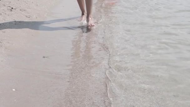 Kobiece stopy spacerują wzdłuż plaży nad morzem. Nagrania wideo Full HD — Wideo stockowe