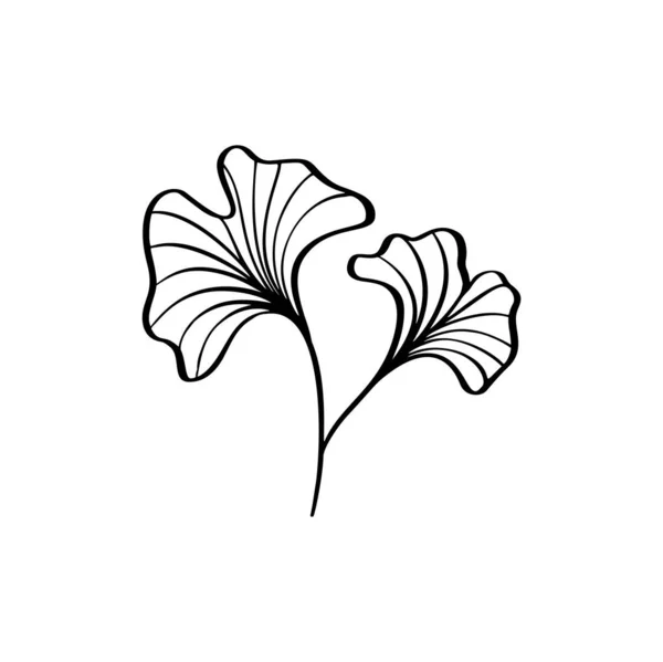 Ginkgo hoja mano dibujar vintage clip línea de arte aislado sobre fondo blanco. Elemento de diseño escandinavo vectorial para su texto de historia — Vector de stock