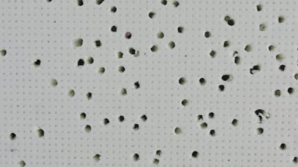 Full of holes surface styrofoam texture. Full HD video footage horisontal moving slow motion — Stock Video