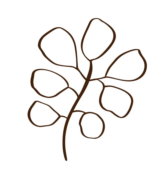 Folhagem de árvores de eucalipto folhas naturais, ramos designer de arte elementos tropicais mão desenhada em estilo de arte de linha. Vetor decorativo bela ilustração elegante — Vetor de Stock