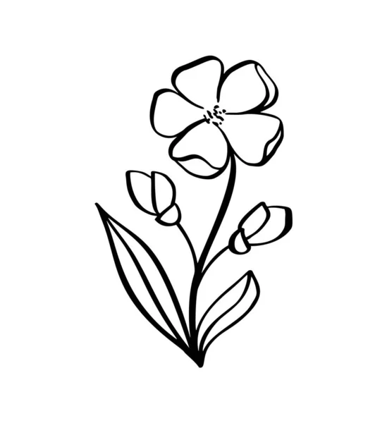 Ręcznie rysowane lato wektorowa linia graficzna pędzel kaligraficzny z kwiatowym wzorem. Wiosna kwiat naturalny design. Graficzny, szkicowy rysunek dzikiego kwiatu — Wektor stockowy