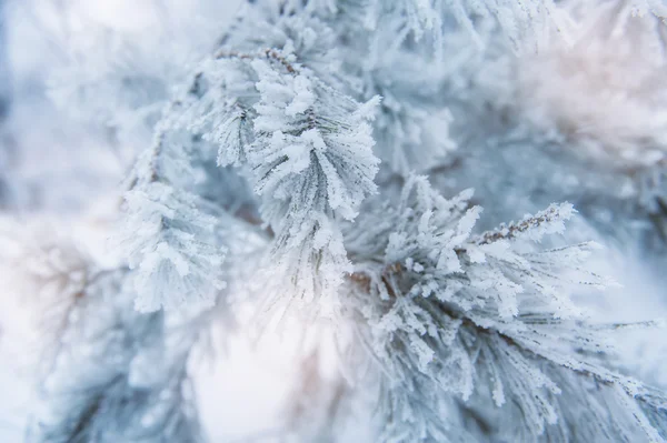 Raue blaue Urlaubsdecke mit vielen Schneeflocken — Stockfoto