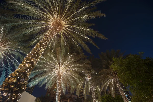 Arbre de fond de Noël palmier — Photo