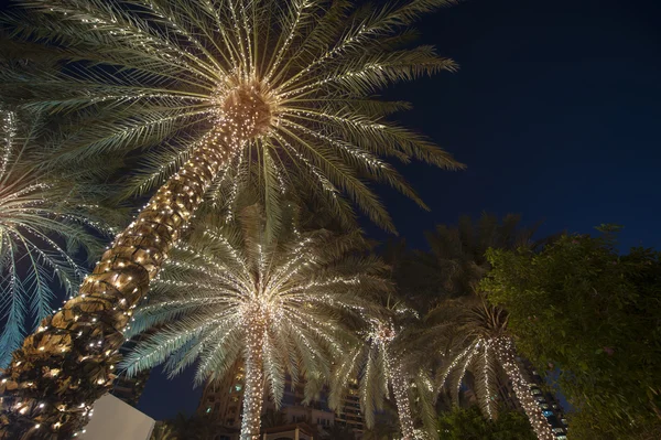 Palma de fondo de Navidad — Foto de Stock