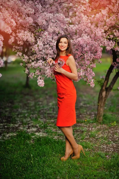 Beautiful young woman standing under an arch of flowers and over — Stock Photo, Image