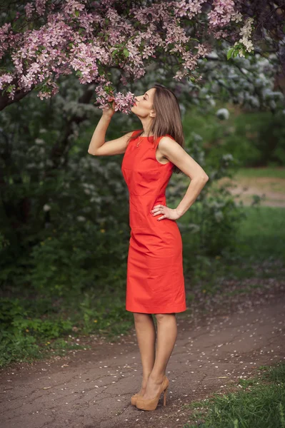 Красивая девушка с весенним цветом — стоковое фото