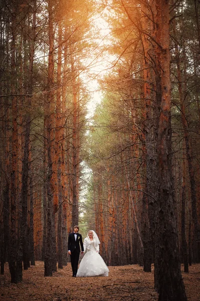 Wedding bride and groom in forest — Stock Photo, Image