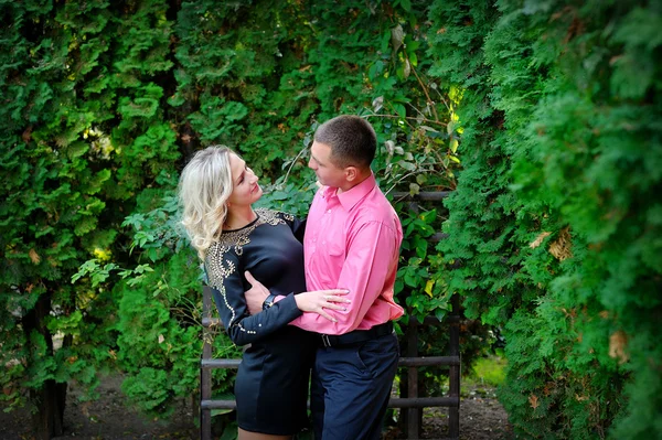 Jeune couple mignon couché dans un parc — Photo