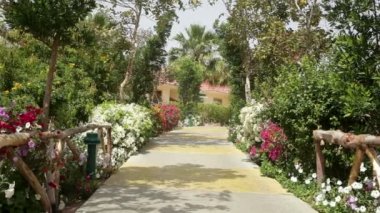 Çiçek açan sokakları ile güzel renkli park