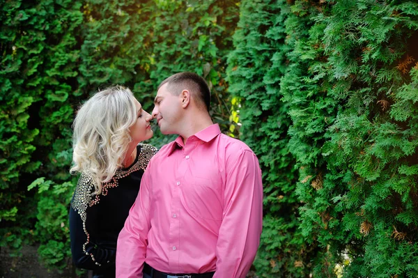 Young loving couple in the park — Stock Photo, Image