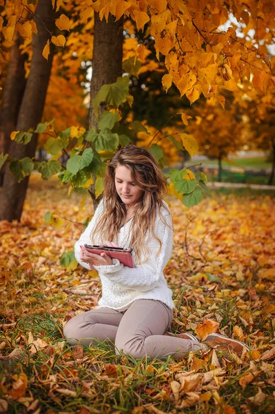 Lächelndes Mädchen mit Tablet-PC auf der Herbstlandschaft, im Freien — Stockfoto