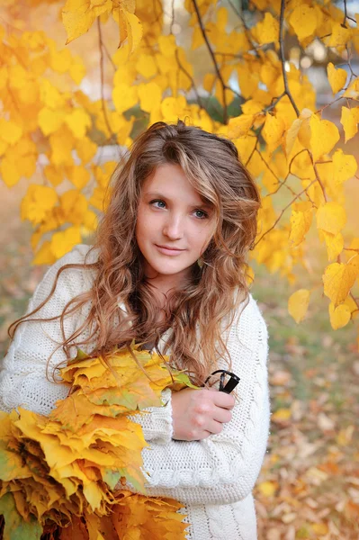 Jovem mulher no belo parque de outono, outono conceito — Fotografia de Stock