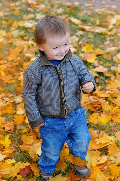 Niño en las hojas amarillas en otoño — Foto de Stock