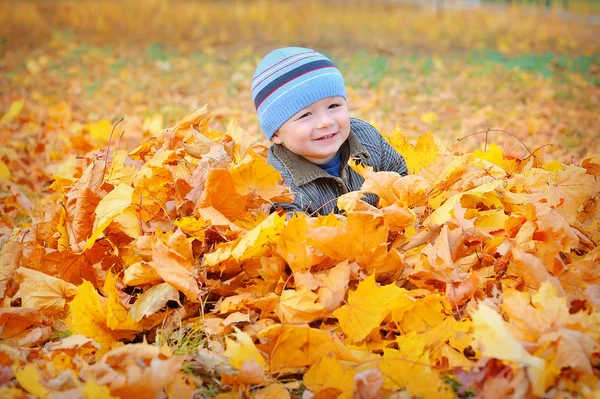 Glückliches Kind in gelben Herbstblättern im Park — Stockfoto