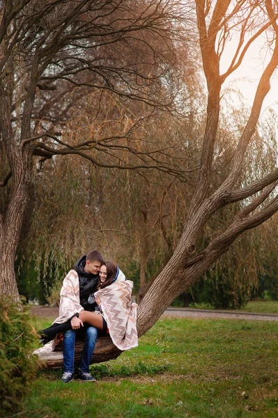 Man and woman embracing in autumn park sitting on a tree hiding — 图库照片