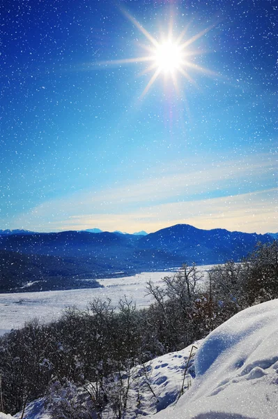 Foresta invernale, gelo e sole — Foto Stock