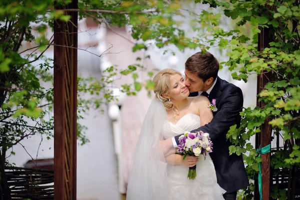 Vackra unga bruden och brudgummen står i en park utomhus håller — Stockfoto
