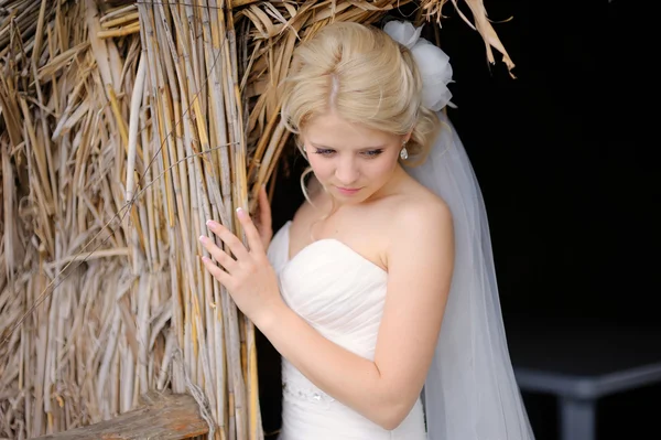 Portrait of beautiful blonde bride — Stock Photo, Image