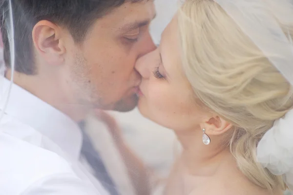 Braut und Bräutigam küssen sich unter dem Schleier — Stockfoto