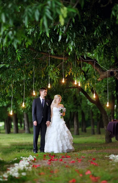 Sposo e sposa a una cerimonia di matrimonio nel parco — Foto Stock