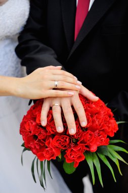 Gelin ve damat elleri