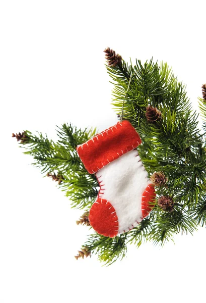 Calcetín de Navidad Santa Claus en el árbol de Navidad en una espalda blanca —  Fotos de Stock