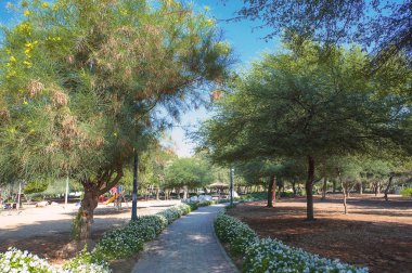 Taş döşeli yol bir tropikal Bahçe