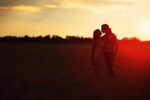 Milující pár v poli při západu slunce — Stock fotografie