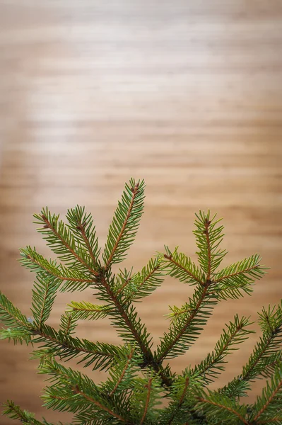 Branche de sapin sur la surface du bois, peut être utilisé comme fond — Photo