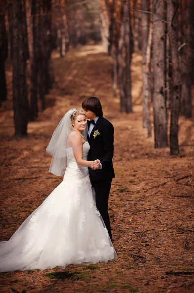 Lyckliga bruden och brudgummen promenader i skogen höst — Stockfoto