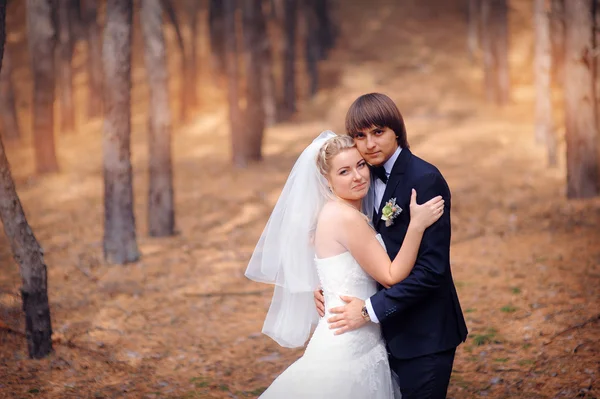 Nevěsta ženich na svatbě procházka v podzimním lese — Stock fotografie