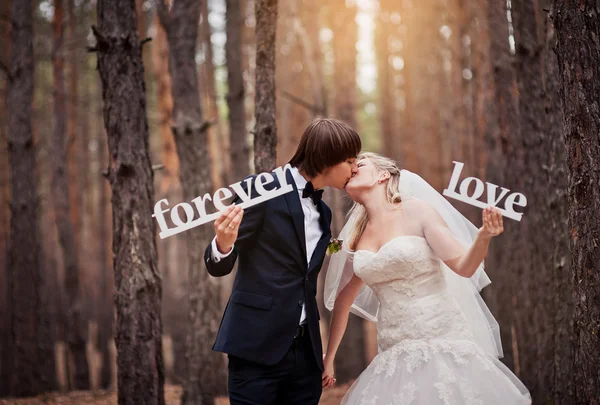 Groom kissing the bride at a wedding in the autumn forest and ho — Stock Photo, Image