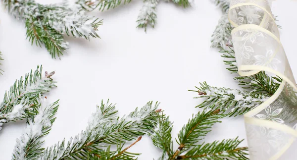 Frame of the snow-covered tree branches — Stock Photo, Image