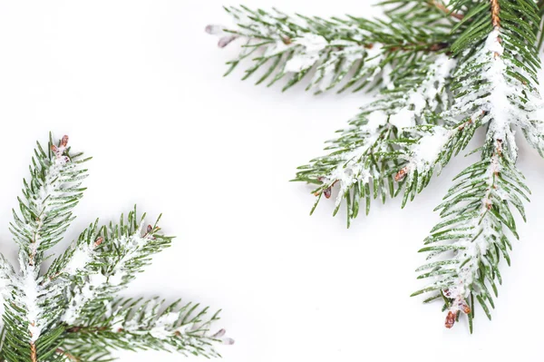 Árvore de Natal isolada no fundo branco — Fotografia de Stock