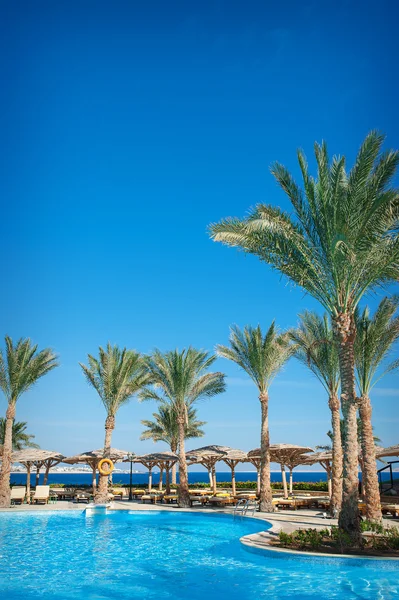 Hotelschwimmbecken im Sommer von Ägypten — Stockfoto